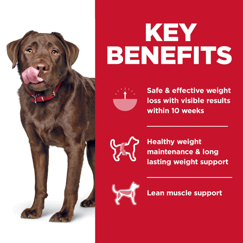 Hill's Science Diet Perfect Weight Chicken Recipe Adult Large Breed Dry Dog Food