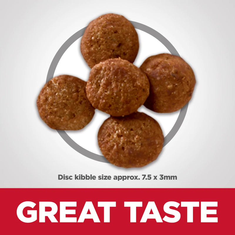 Hill's Science Diet Perfect Weight Chicken Recipe Small Bites Adult Small Breed Dry Dog Food