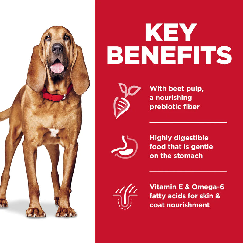 Hill's Science Diet Sensitive Stomach & Skin Chicken Large Breed Adult Dry Dog Food