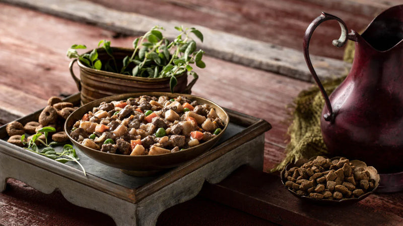 Fromm Frommbalaya Beef, Vegetable, & Rice Stew Canned Dog Food