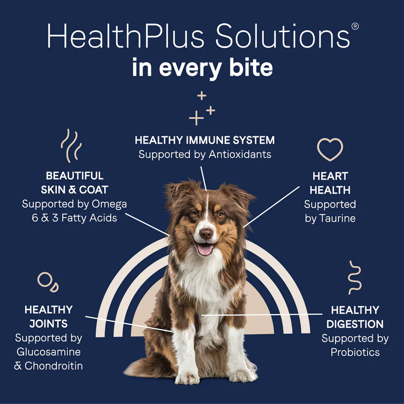 Canidae Pure with Grains Real Lamb & Brown Rice Recipe Dry Dog Food