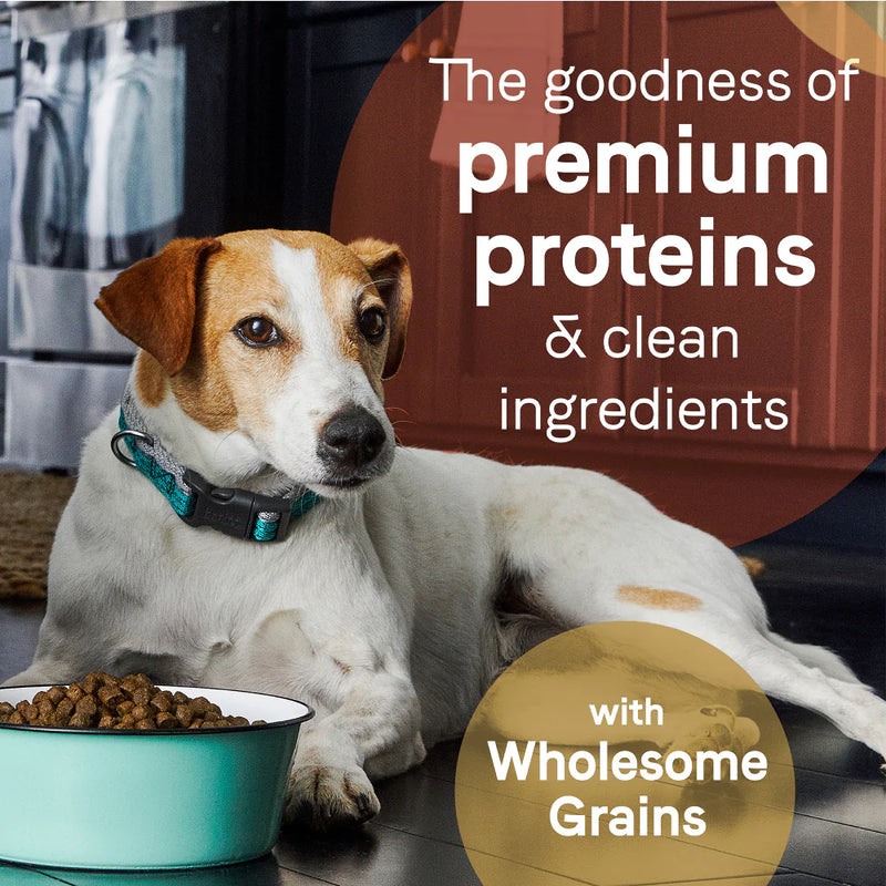 Canidae Pure with Grains Real Lamb & Brown Rice Recipe Dry Dog Food