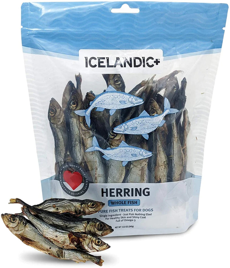 Icelandic+ Herring Whole Fish Dog treats