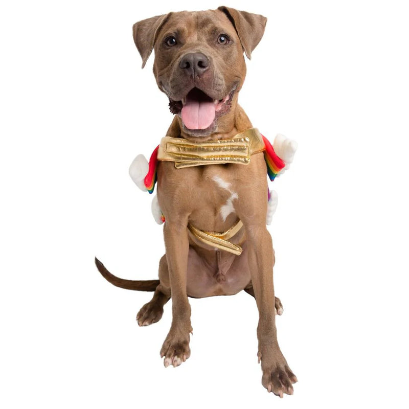 Pet Krewe Rainbow Costume for Cats & Dogs