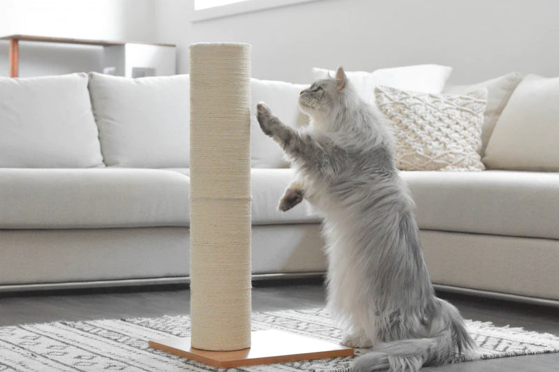 BeOneBreed KATT3 Sisal Pole Cat Scratcher