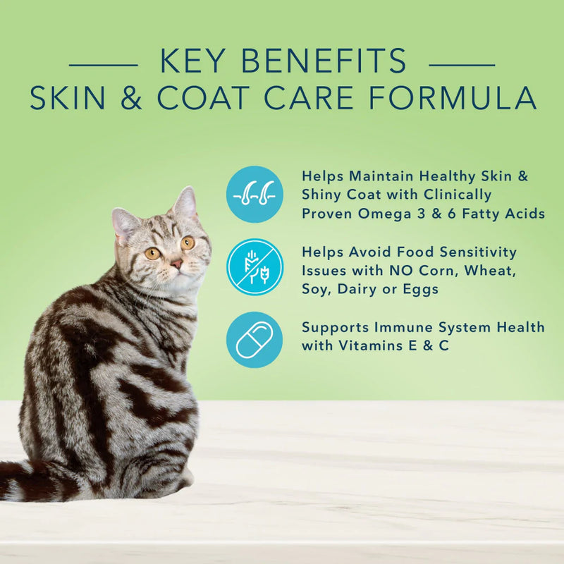 Blue Buffalo True Solutions Perfect Coat Natural Skin & Coat Care Salmon Recipe Adult Dry Cat Food