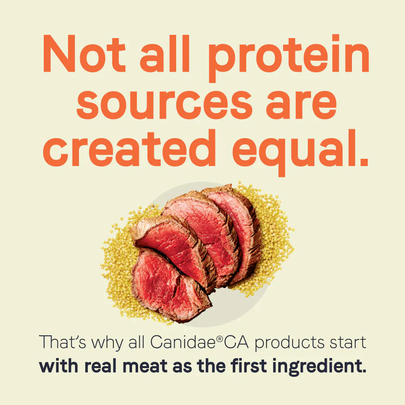 Canidae CA-20 Real Beef Recipe With Wholesome Grains Dry Dog Food