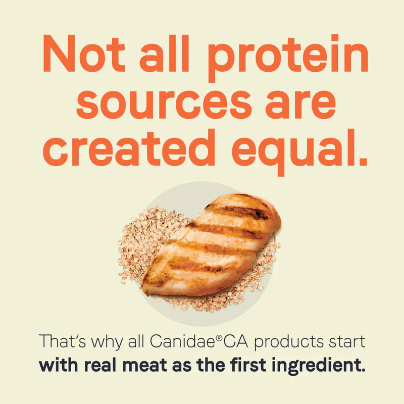Canidae CA-20 Real Chicken Recipe With Wholesome Grains Dry Dog Food