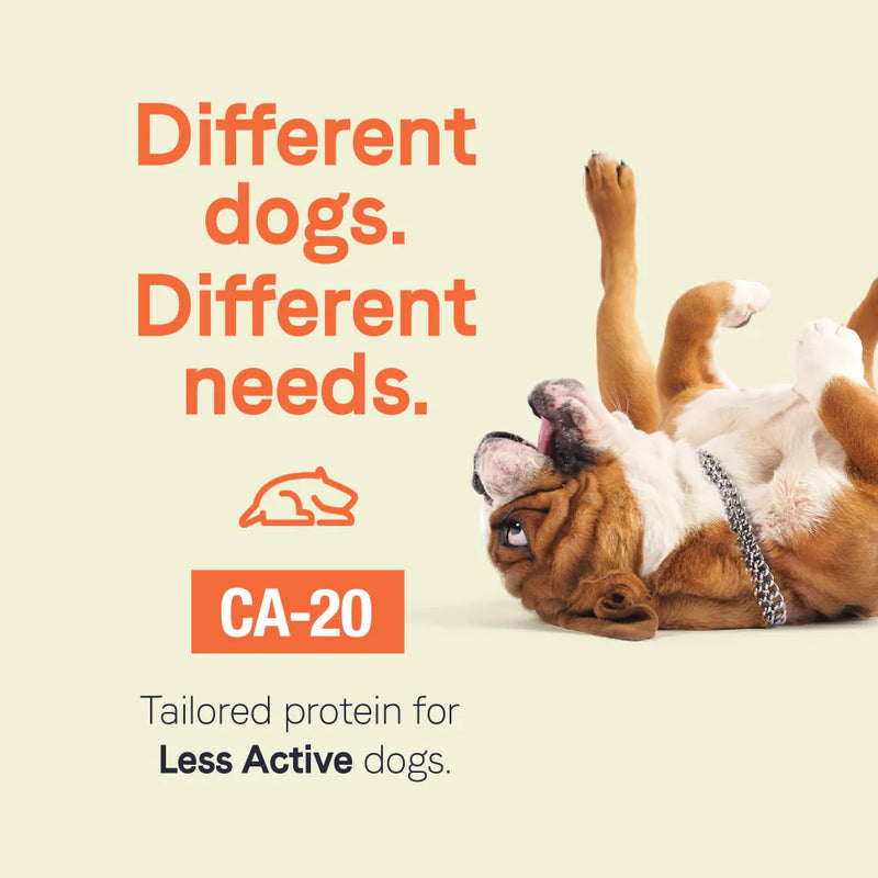 Canidae CA-20 Real Chicken Recipe With Wholesome Grains Dry Dog Food