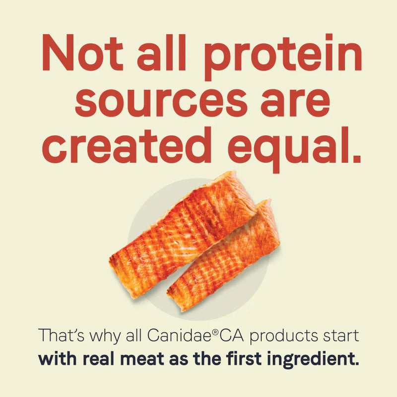 Canidae CA-40 High Protein With Real Salmon Recipe Dry Dog Food