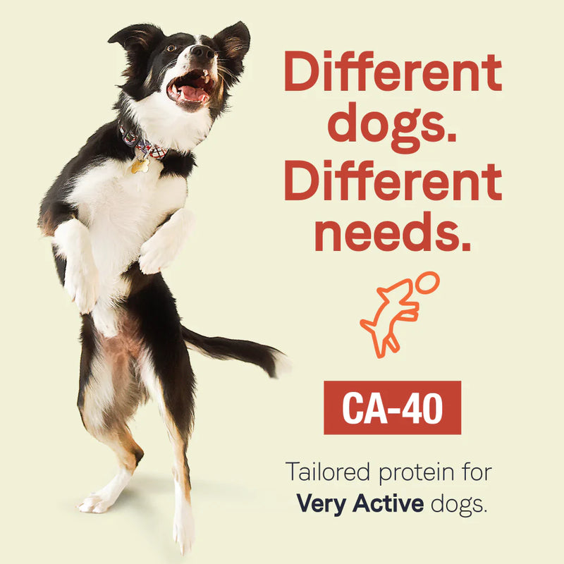 Canidae CA-40 High Protein With Real Salmon Recipe Dry Dog Food