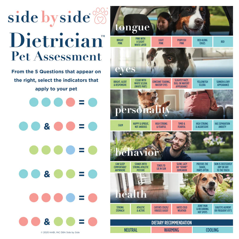 Side By Side Small Batch Freeze Dried Wild Caught Salmon Neutral Dog Treats