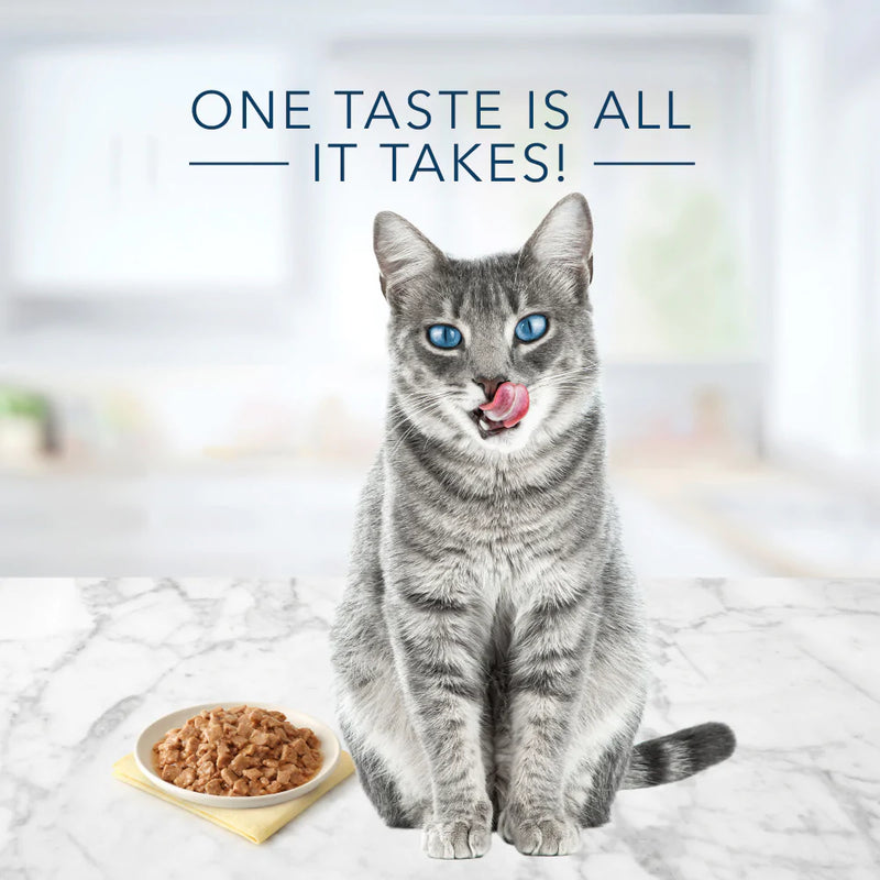 Blue Buffalo Tastefuls Natural Flaked Fish & Shrimp Entree in Gravy Wet Cat Food