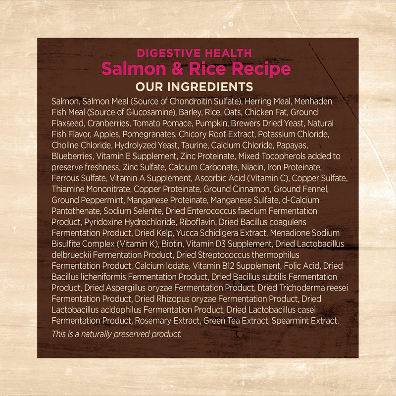 Wellness Core Digestive Health Salmon Recipe Dry Cat Food