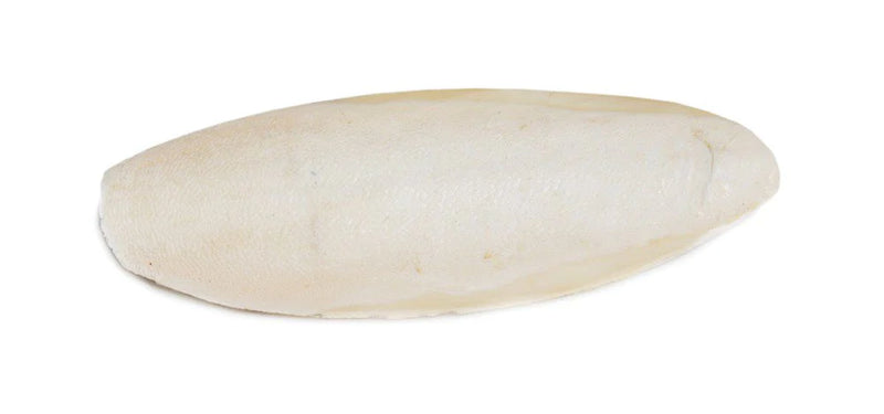 Prevue Cuttlebone Mineral Block for Birds