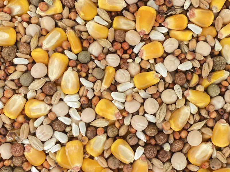 Higgins Versele-Laga Classic Pigeon Food 15% With Corn