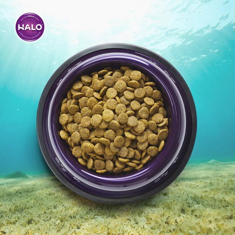 Halo Holistic Ocean of Vegan Recipe Dry Dog Food