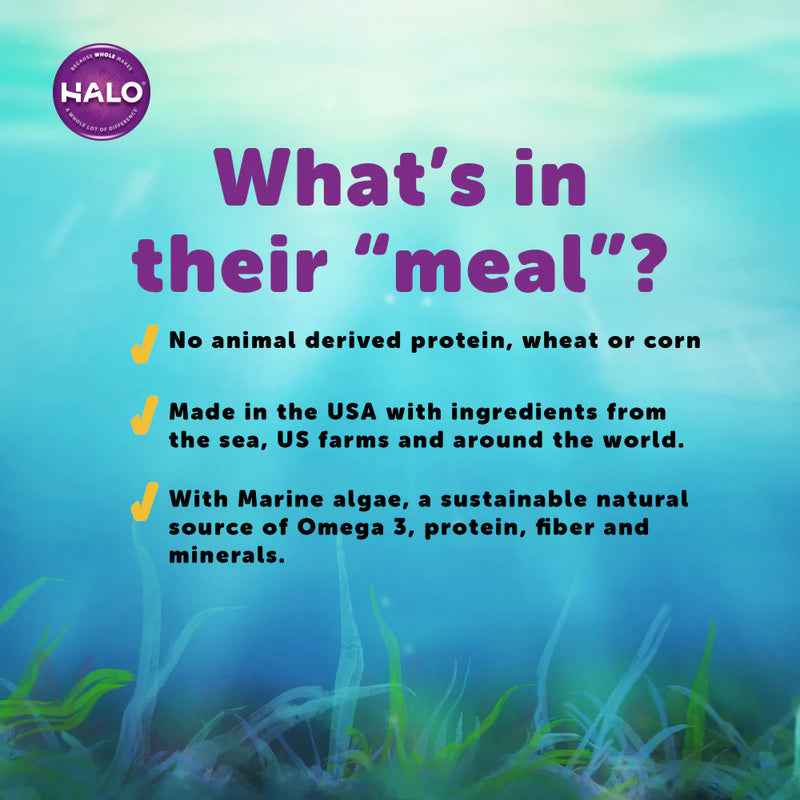 Halo Holistic Ocean of Vegan Recipe Dry Dog Food