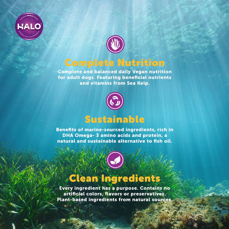 Halo Holistic Ocean of Vegan Recipe Dry Dog Food