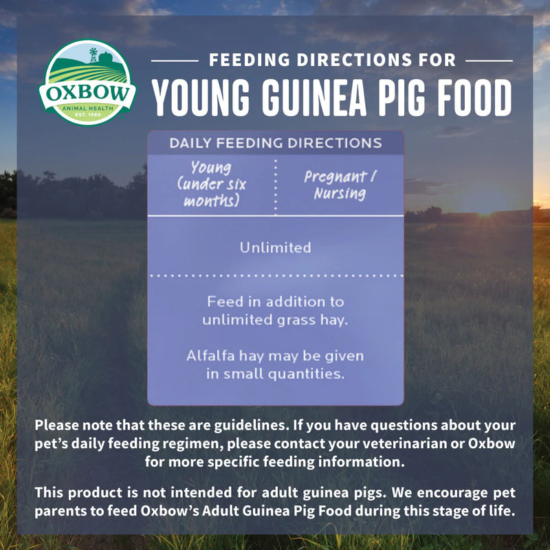 Oxbow Animal Health Essentials Young Guinea Pig Food All Natural Guinea Pig Pellets