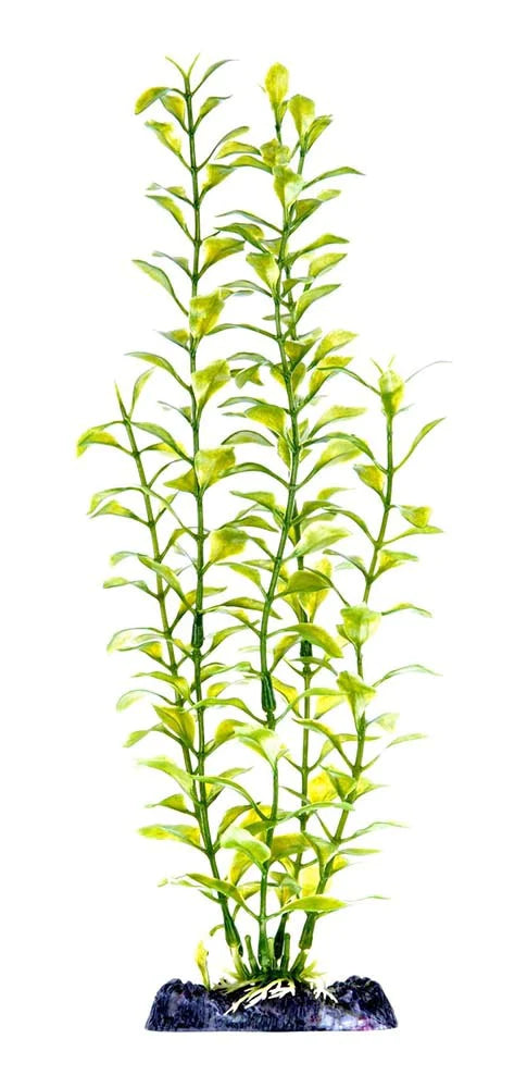Penn-Plax Aquarium Decor Blooming Ludwigia Green