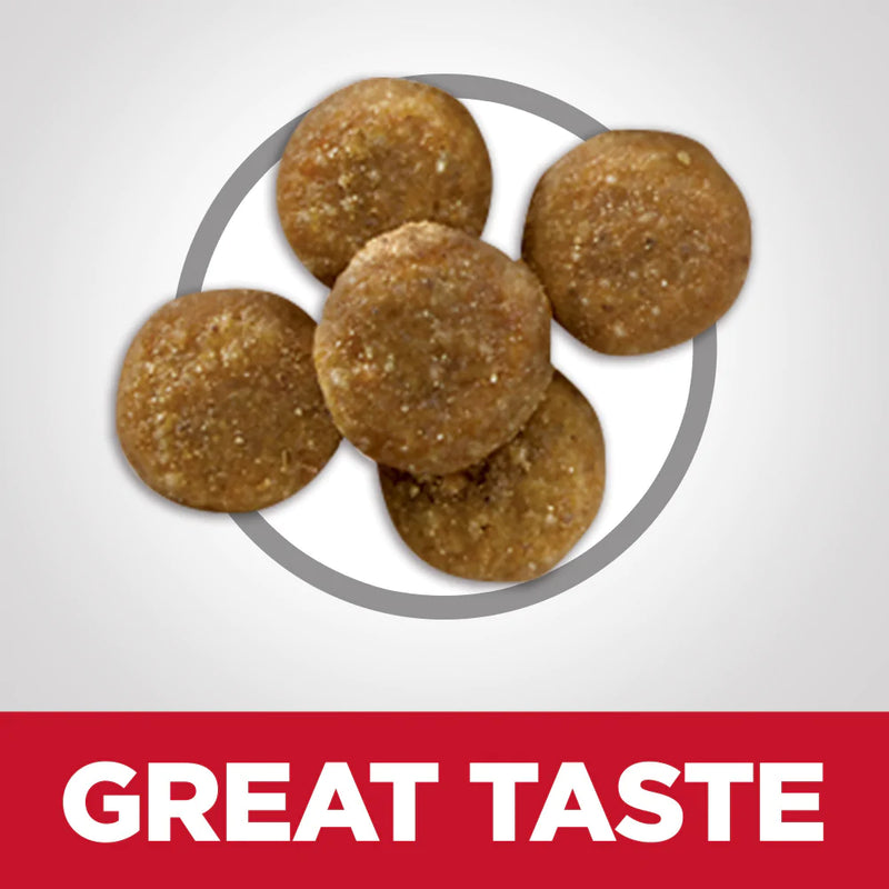 Hill's Science Diet Adult Perfect Digestion Salmon Dry Cat Food