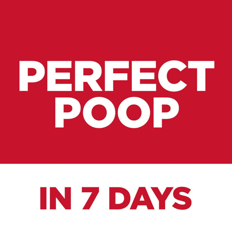 Hill's Science Diet Adult Perfect Digestion Salmon Dry Cat Food