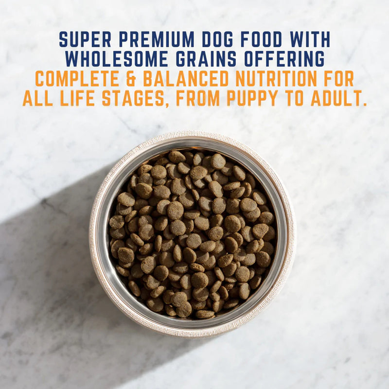 Natural Balance Original Ultra Chicken & Barley Formula Small Breed Bites Dry Dog Food