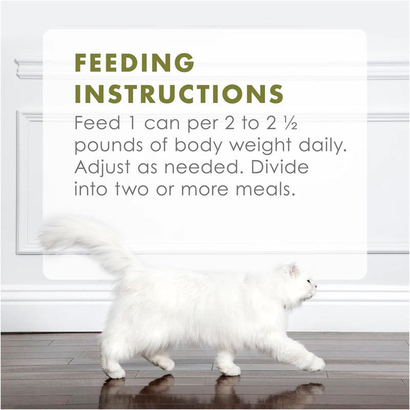 Fancy Feast Gourmet Naturals White Meat Chicken Recipe In Gravy Natural Wet Cat Food