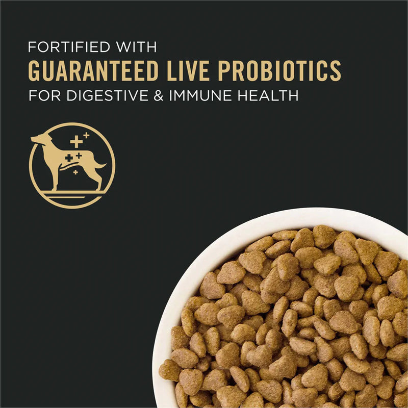 Purina Pro Plan Small Bites Lamb & Rice Formula High Protein, High Energy Dry Dog Food