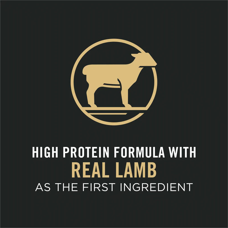 Purina Pro Plan Small Bites Lamb & Rice Formula High Protein, High Energy Dry Dog Food