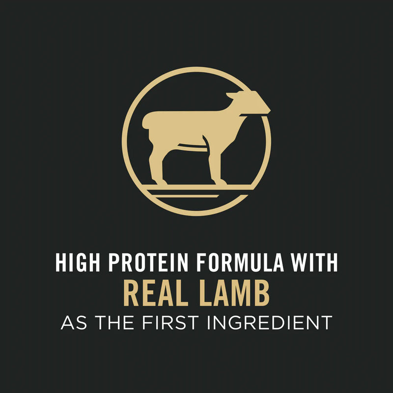 Purina Pro Plan Sensitive Skin & Stomach Lamb & Oat Meal With Probiotics Sensitive Stomach Dry Puppy Food
