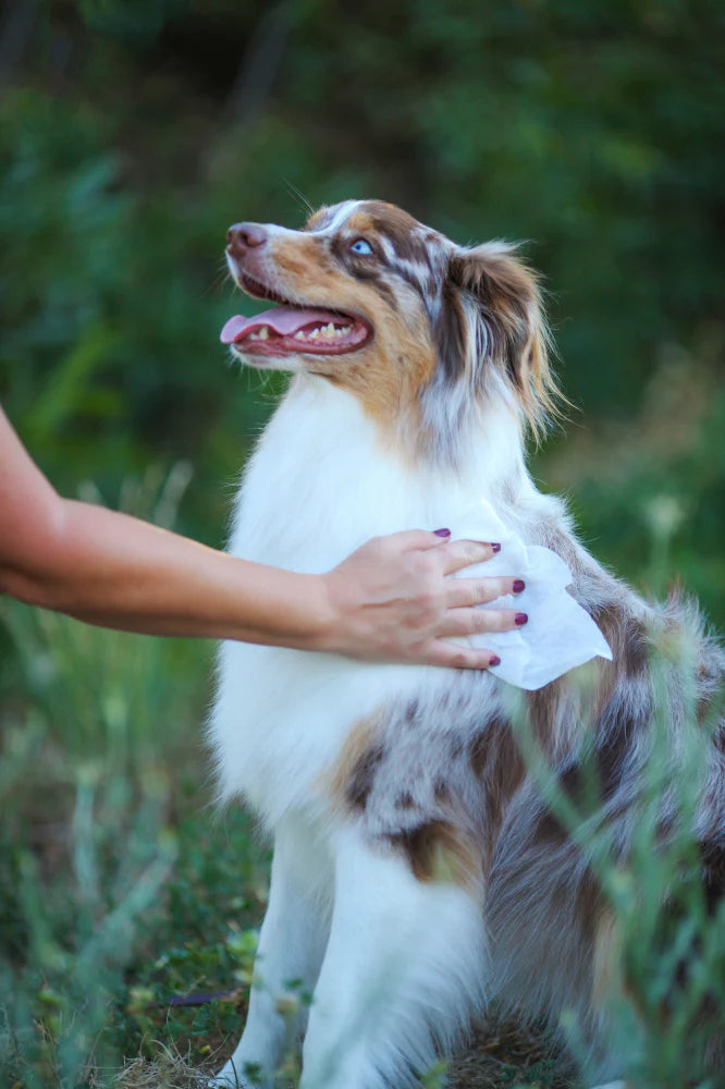 Earthbath Grooming Cleans & Conditions Mango Tango Plant-Based Wipes