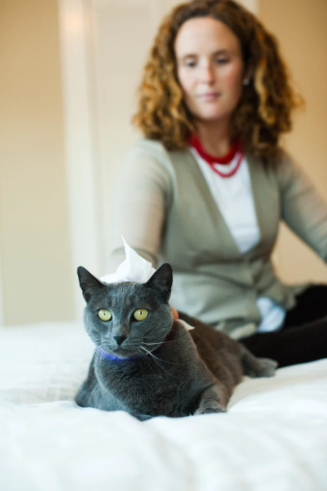 Earthbath Hypo-Allergenic Cat Grooming Cleans & Conditions Fragrance Free Plant-Based Wipes