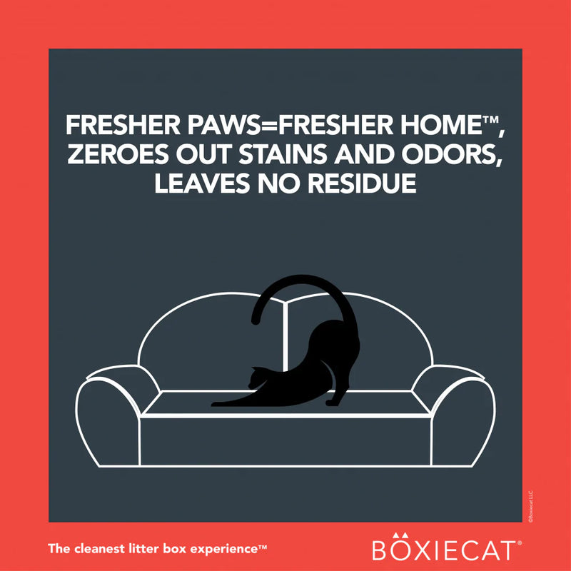 Boxiecat Premium Extra Strength Stain Odor Remover