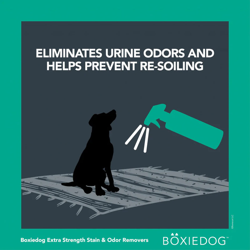 Boxiedog Premium Scented Stain Odor Remover