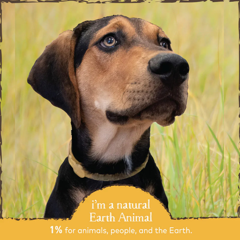 Earth Animal Nature's Protection Flea & Tick Prevention Herbal Collar for Small Dogs & Puppies