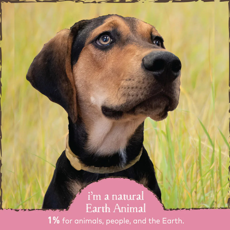 Earth Animal Nature's Protection Flea & Tick Prevention Herbal Spot-On for Cats