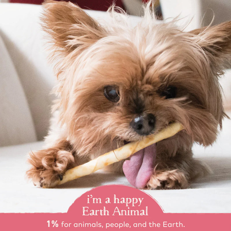 Earth Animal No-Hide Salmon Stix Dog & Cat Chews