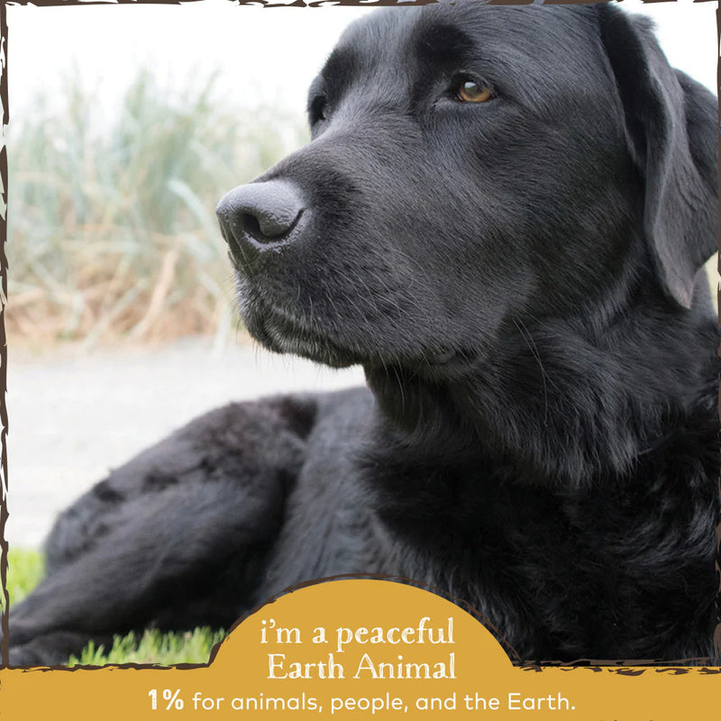Earth Animal Organic Herbal Remedies Urinary & Kidney Relief
