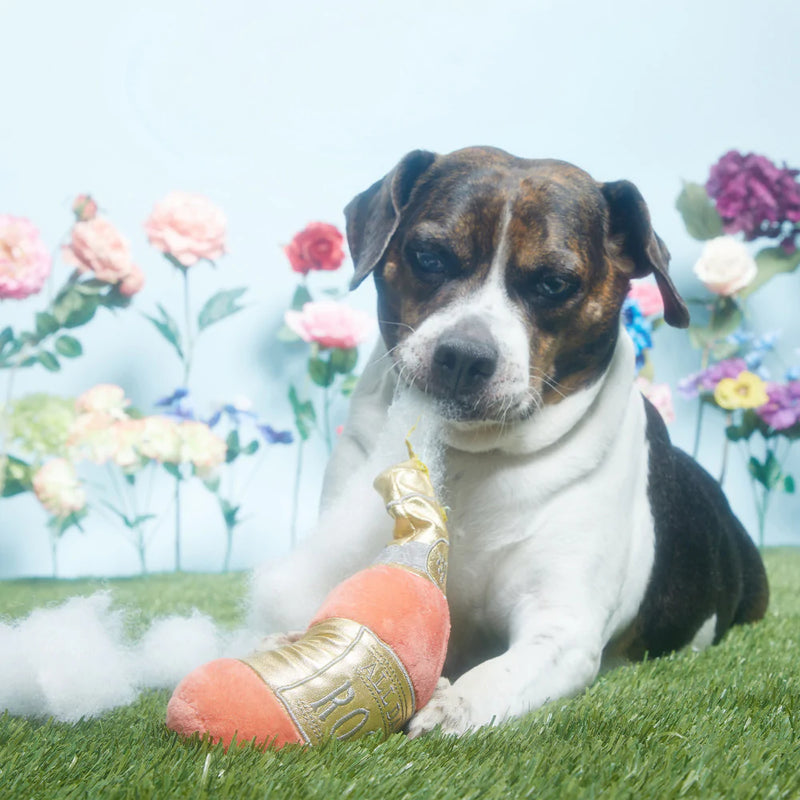 BARK All Day Rose Dog Toy
