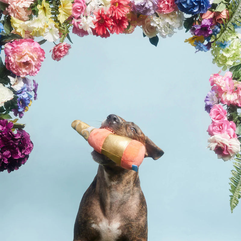 BARK All Day Rose Dog Toy