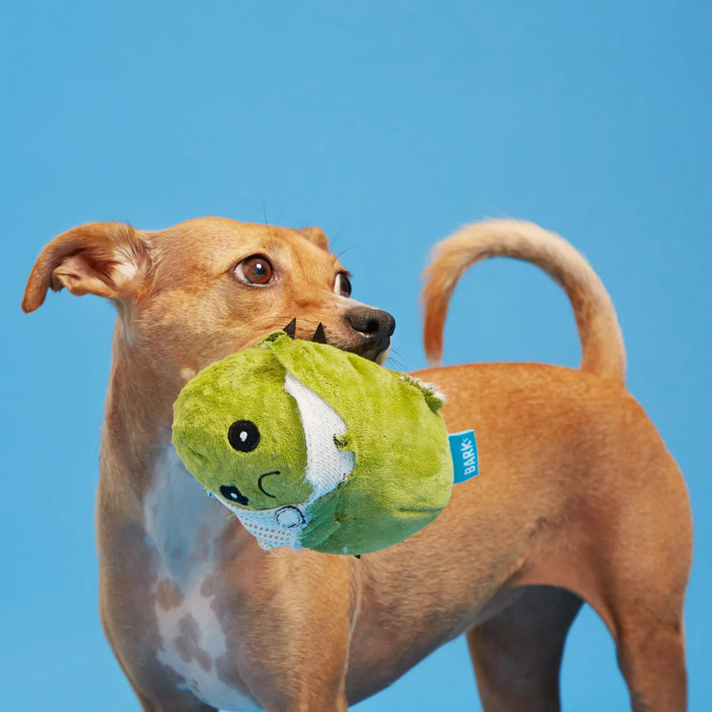 BARK Consuela the Cactus Dog Toy