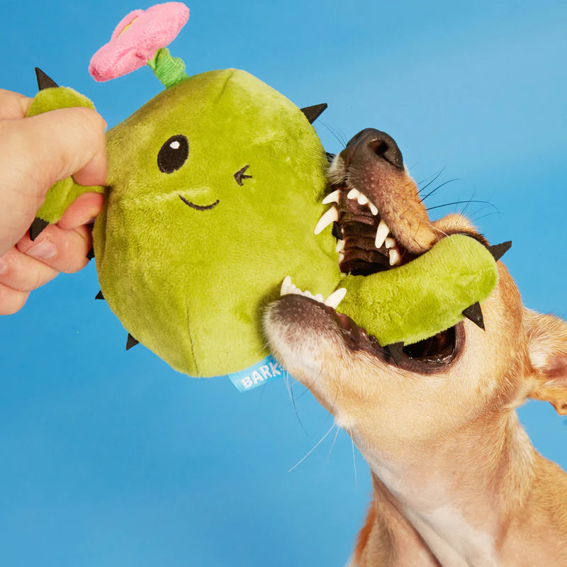 BARK Consuela the Cactus Dog Toy