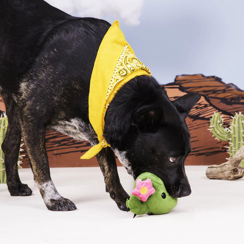 BARK Consuela the Cactus Dog Toy