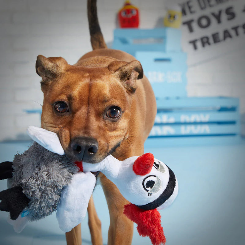 BARK Flo the Flapper Dog Toy
