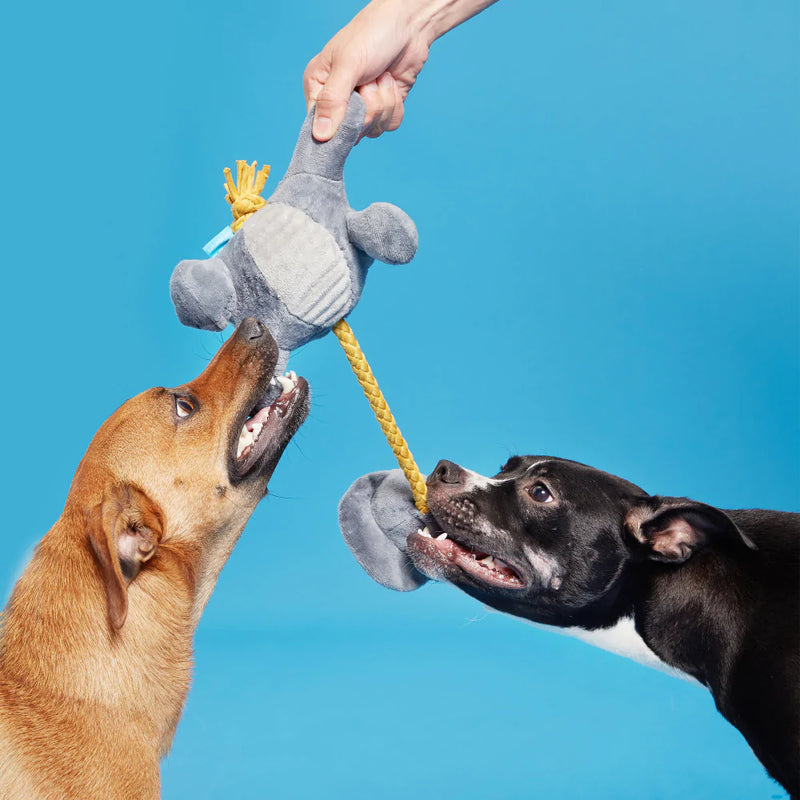BARK Herbert the Herbivore Dog Toy