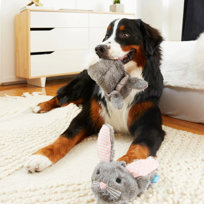 BARK Itty & Bitty the Bunny Slippers Dog Toy