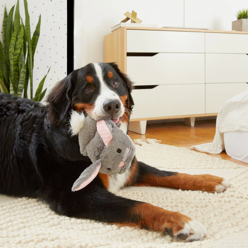 BARK Itty & Bitty the Bunny Slippers Dog Toy