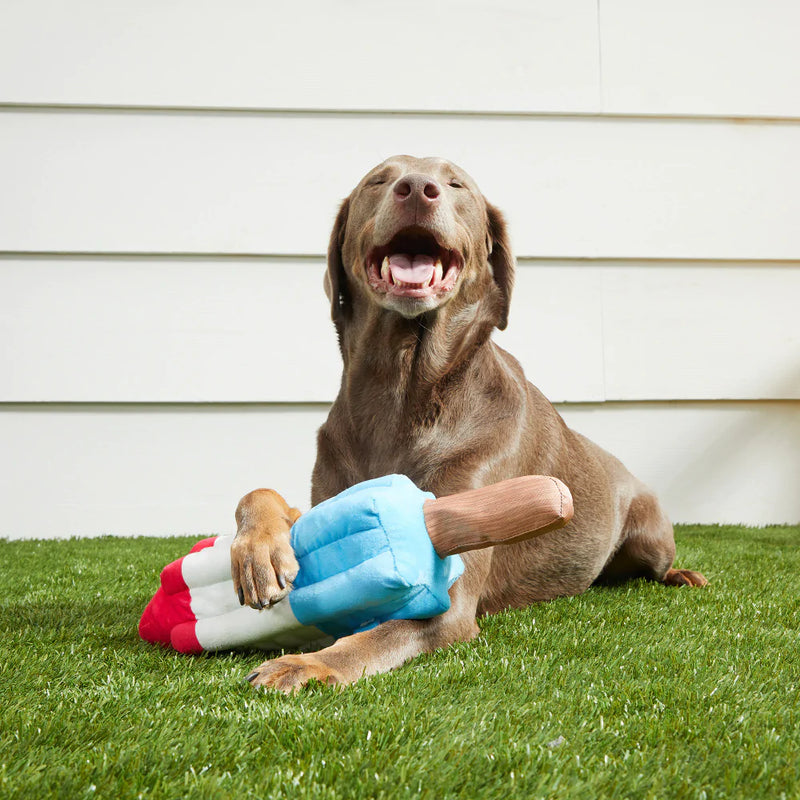 BARK Rocket Pupsicle Dog Toy